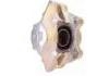 Brake Caliper Brake Caliper:NB-C546R